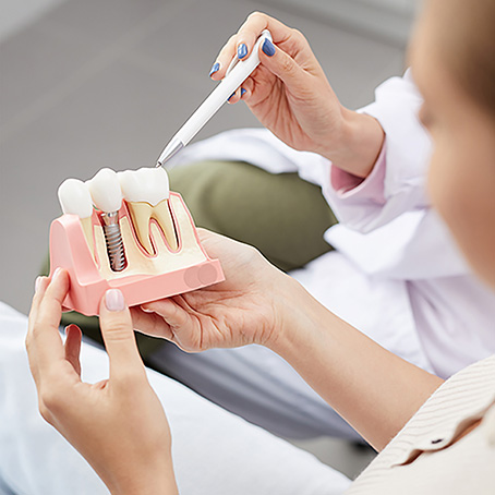 dentist with model teeth
